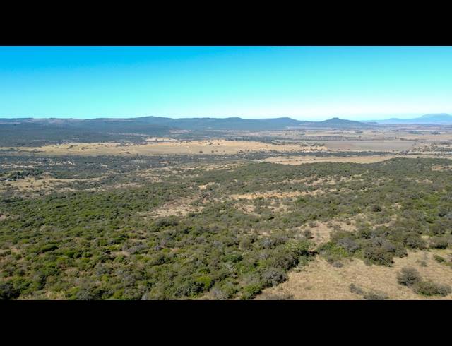 1,093HA FARM FOR SALE IN DUNDEE RURAL